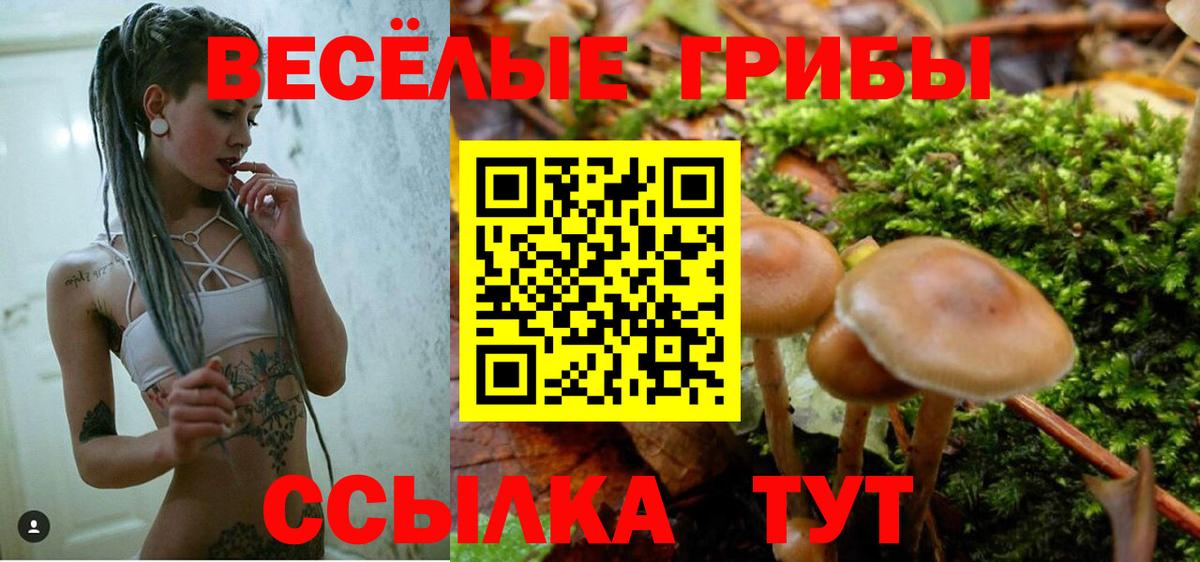 Галлюциногенные грибы мицелий  Вход с VPN  закладка  Тула 