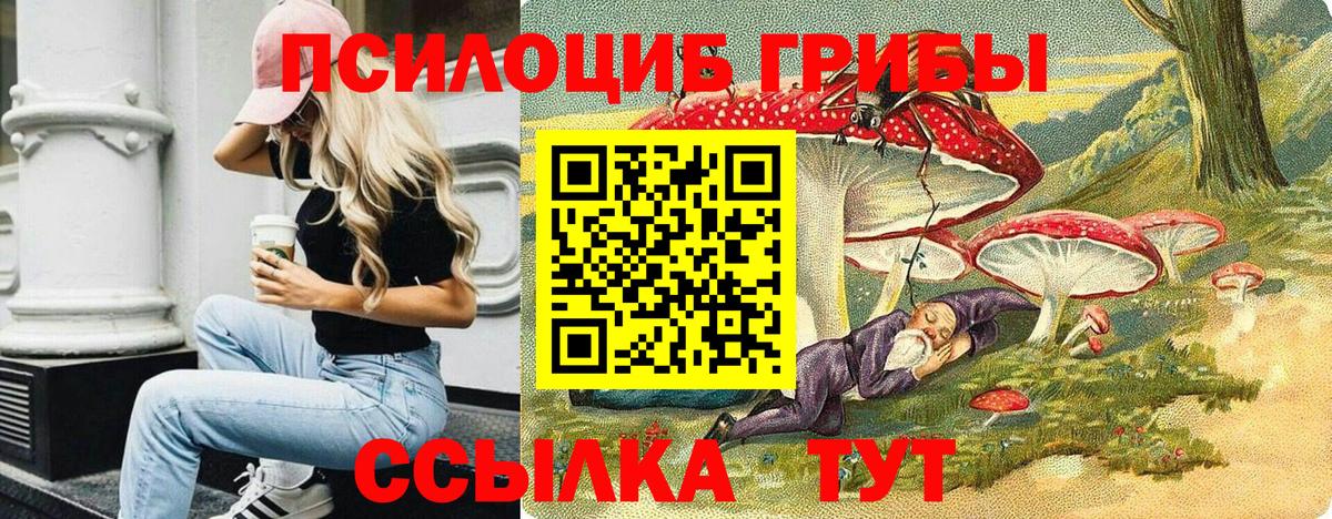 Псилоцибиновые грибы мицелий Тула