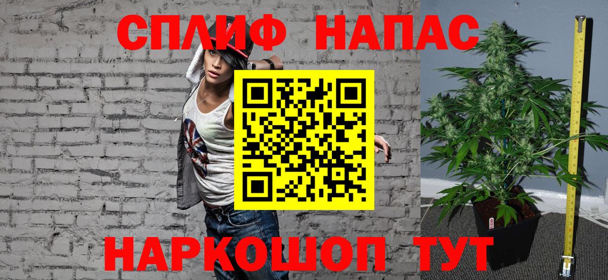 МАРИХУАНА план Тула